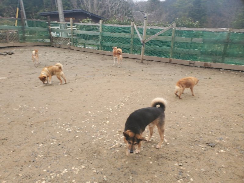 f:id:roukenhome-ann:20200127144233j:plain