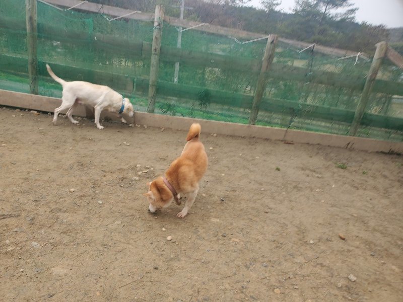 f:id:roukenhome-ann:20200127151428j:plain