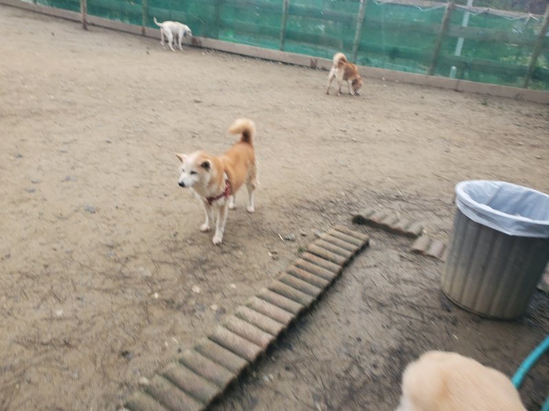 f:id:roukenhome-ann:20200127151526j:plain