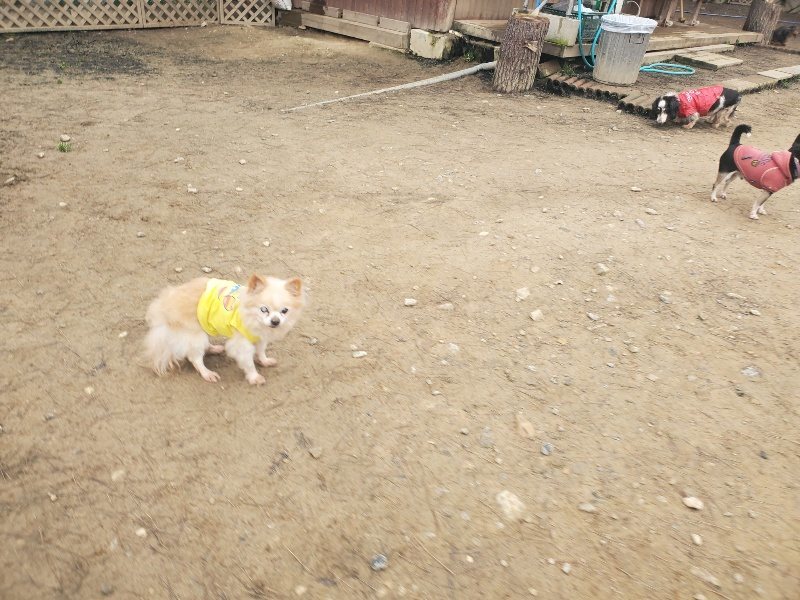 f:id:roukenhome-ann:20200127174727j:plain