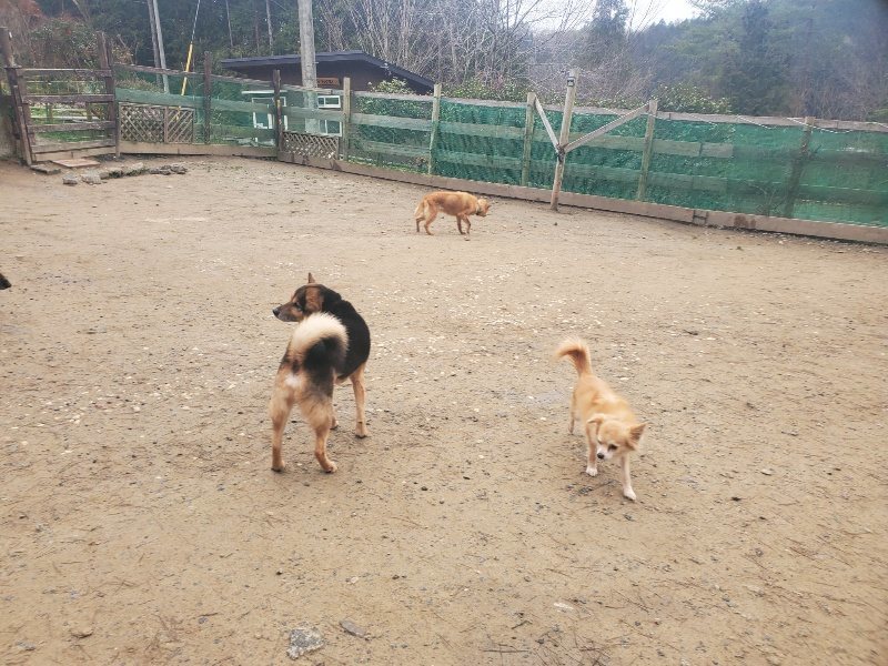 f:id:roukenhome-ann:20200127174851j:plain