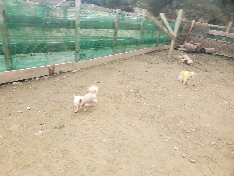 f:id:roukenhome-ann:20200127184256j:plain