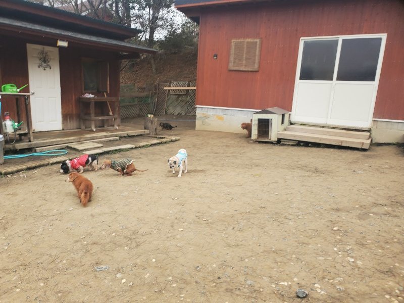 f:id:roukenhome-ann:20200127184321j:plain
