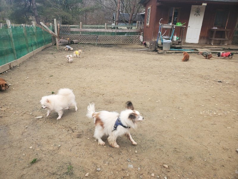 f:id:roukenhome-ann:20200127184407j:plain