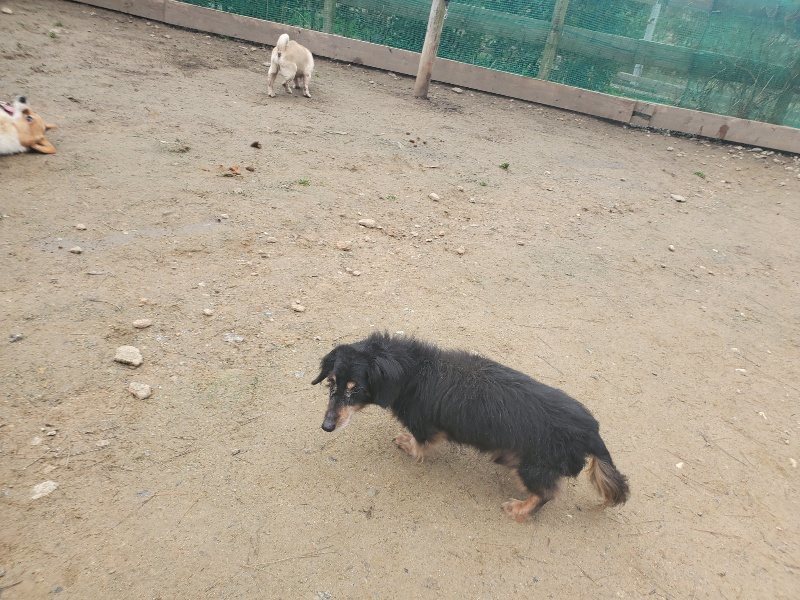 f:id:roukenhome-ann:20200127185440j:plain