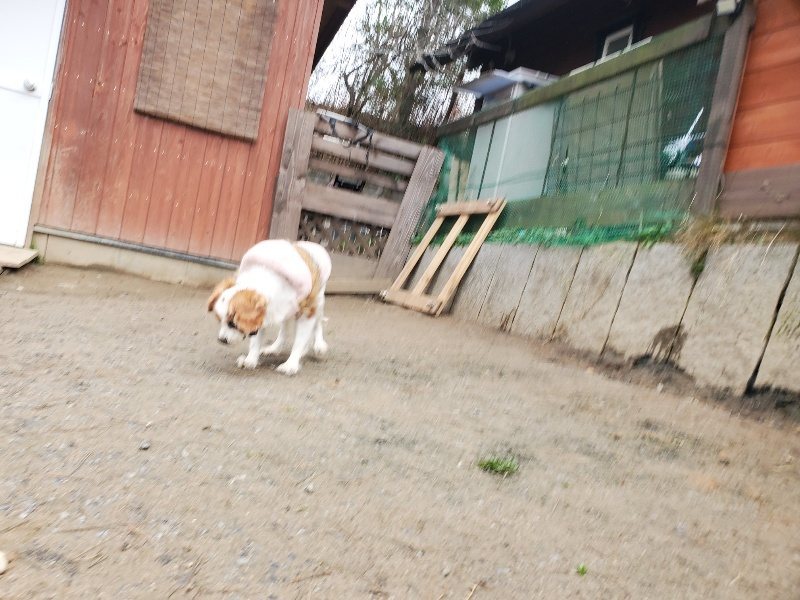 f:id:roukenhome-ann:20200127192542j:plain