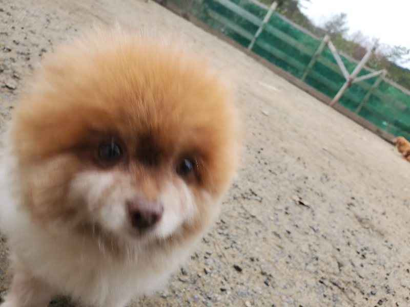 f:id:roukenhome-ann:20200127194244j:plain
