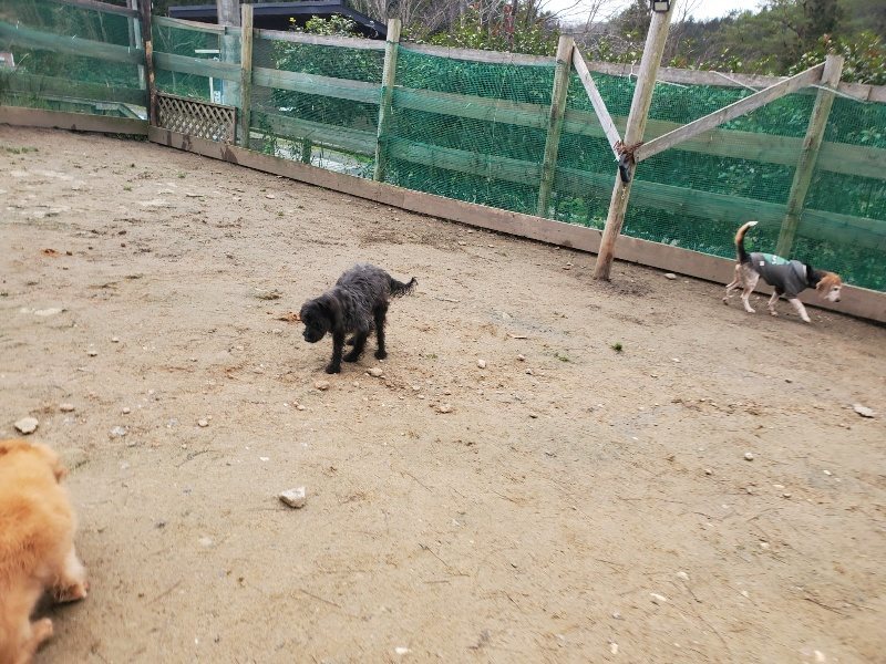 f:id:roukenhome-ann:20200127200307j:plain