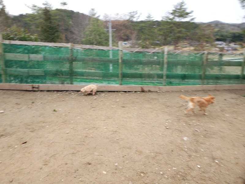 f:id:roukenhome-ann:20200127201528j:plain