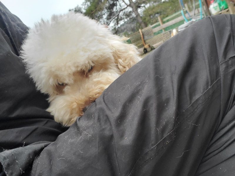 f:id:roukenhome-ann:20200127203021j:plain