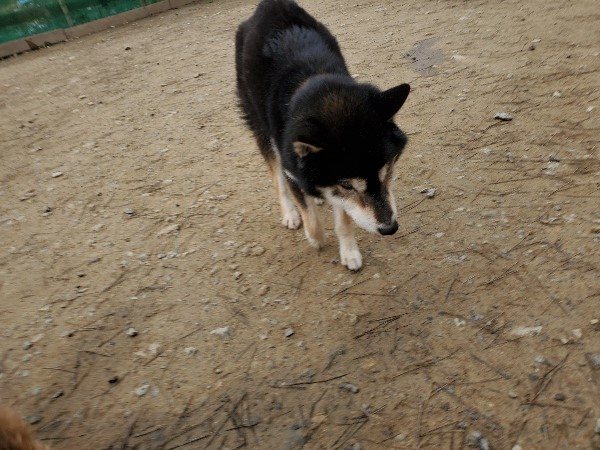 f:id:roukenhome-ann:20200127203237j:plain