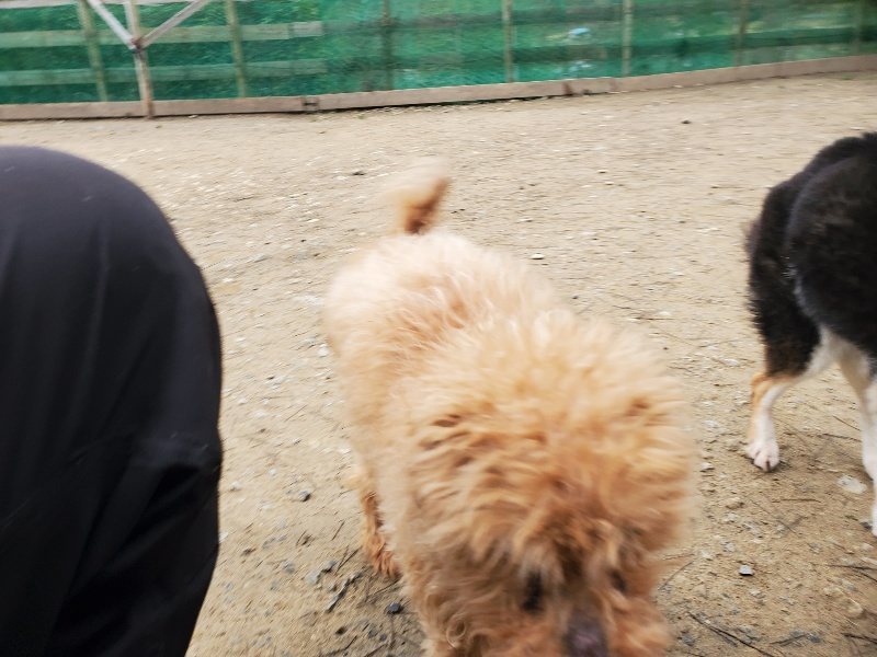 f:id:roukenhome-ann:20200127203307j:plain