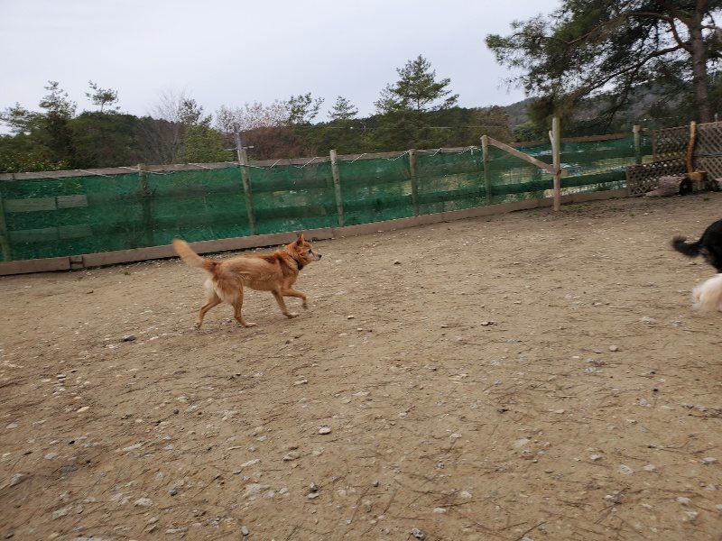 f:id:roukenhome-ann:20200127203800j:plain