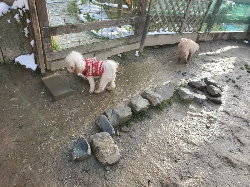 f:id:roukenhome-ann:20200207073523j:plain f:id:roukenhome-ann:20200207073523j:plain