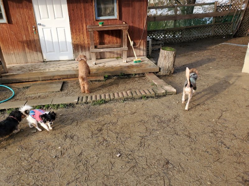 f:id:roukenhome-ann:20200207073723j:plain f:id:roukenhome-ann:20200207073723j:plain