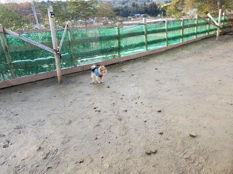 f:id:roukenhome-ann:20200207073751j:plain f:id:roukenhome-ann:20200207073751j:plain