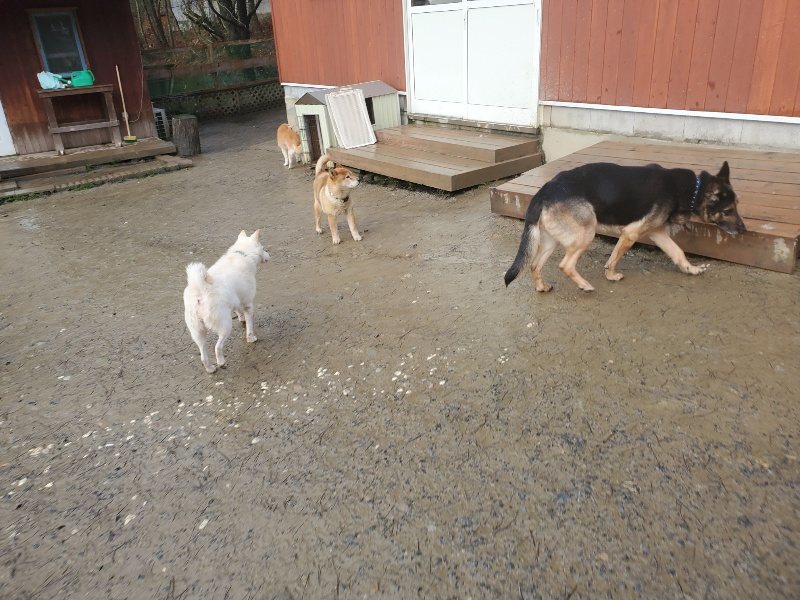 f:id:roukenhome-ann:20200211111129j:plain