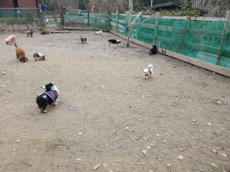 f:id:roukenhome-ann:20200212210424j:plain