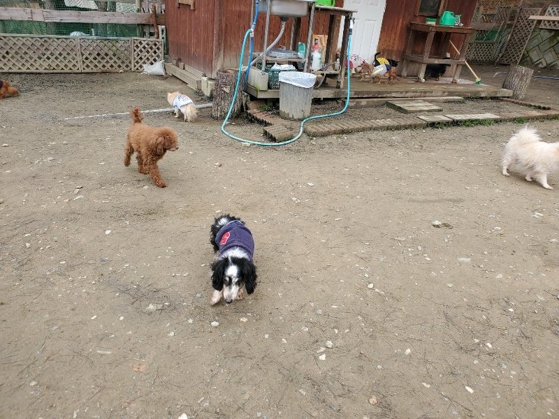 f:id:roukenhome-ann:20200212211204j:plain