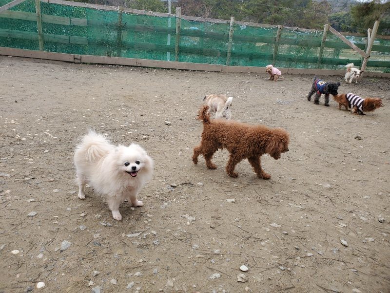 f:id:roukenhome-ann:20200212212612j:plain