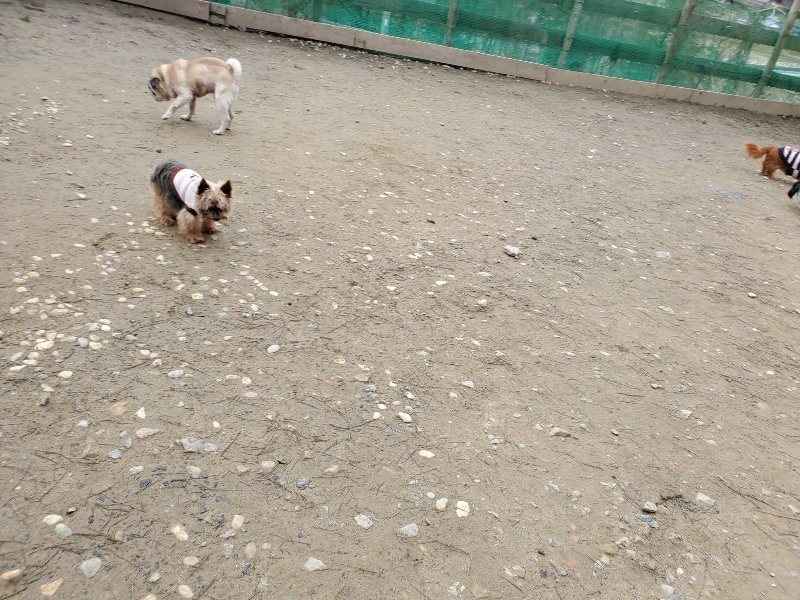 f:id:roukenhome-ann:20200212213249j:plain