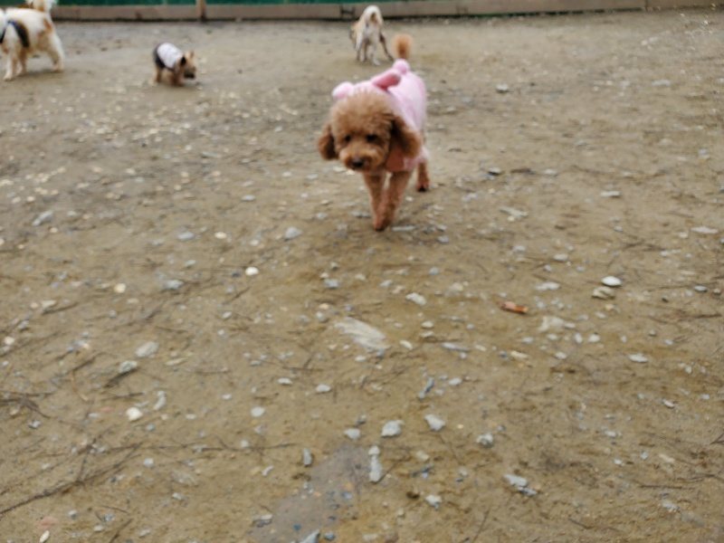 f:id:roukenhome-ann:20200212213515j:plain