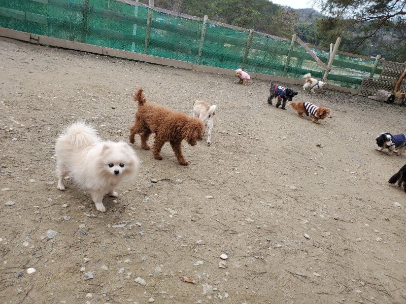 f:id:roukenhome-ann:20200212214241j:plain