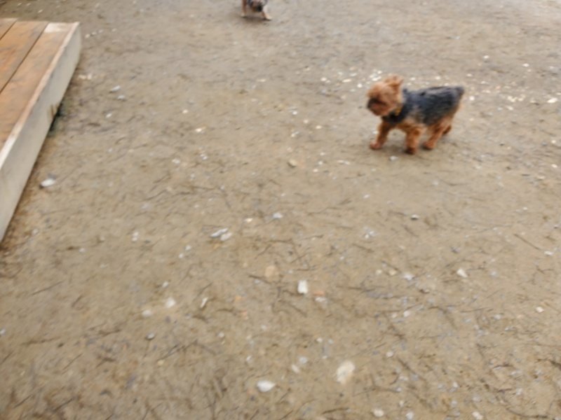 f:id:roukenhome-ann:20200212214308j:plain