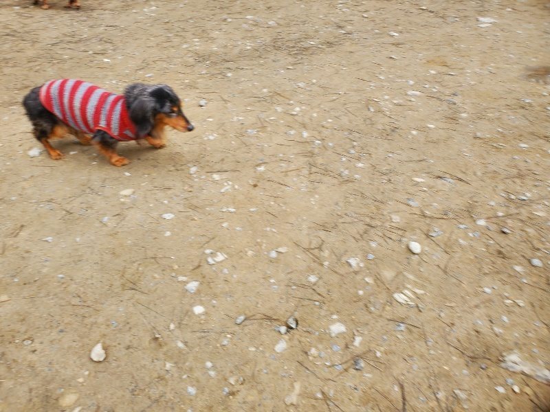 f:id:roukenhome-ann:20200212214931j:plain