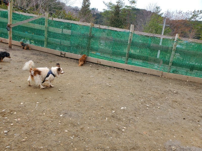 f:id:roukenhome-ann:20200212215213j:plain