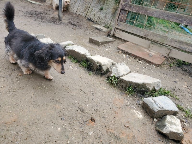 f:id:roukenhome-ann:20200213071755j:plain