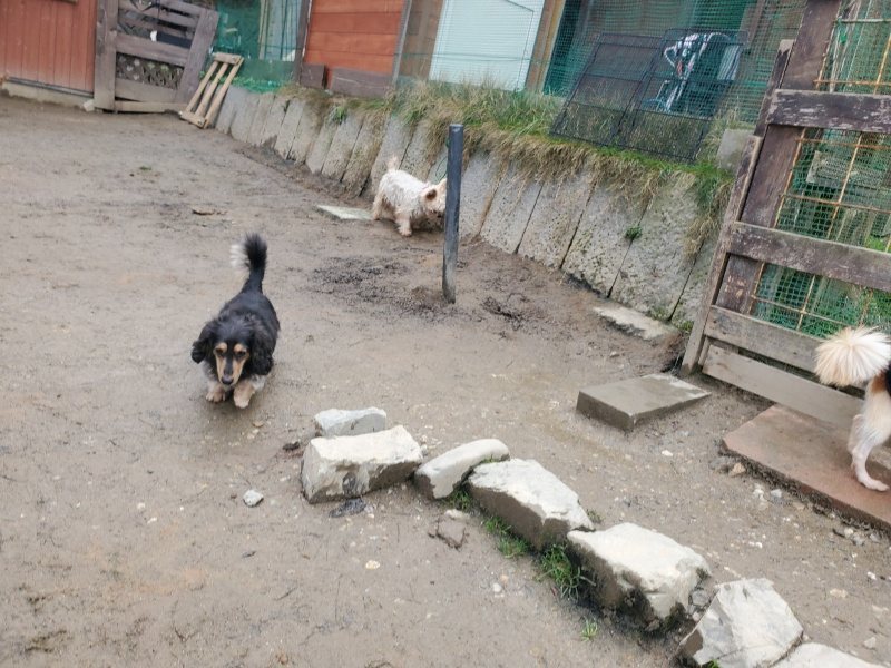 f:id:roukenhome-ann:20200213072122j:plain