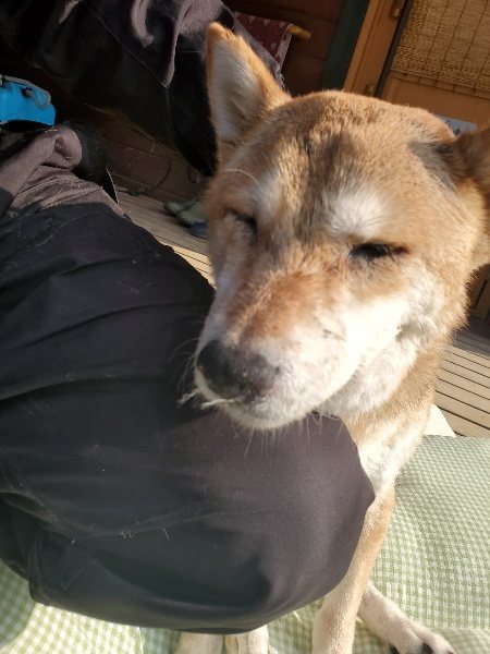 f：id：roukenhome-ann：20200214104924j：plain