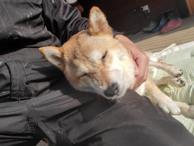 f：id：roukenhome-ann：20200214105228j：plain