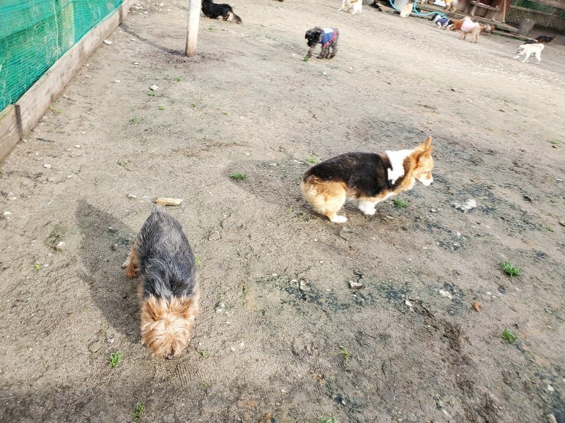 f:id:roukenhome-ann:20200217201222j:plain