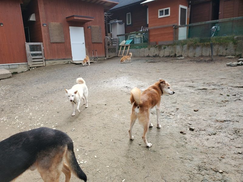 f:id:roukenhome-ann:20200217201905j:plain