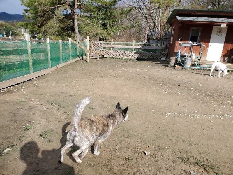 f:id:roukenhome-ann:20200217203636j:plain