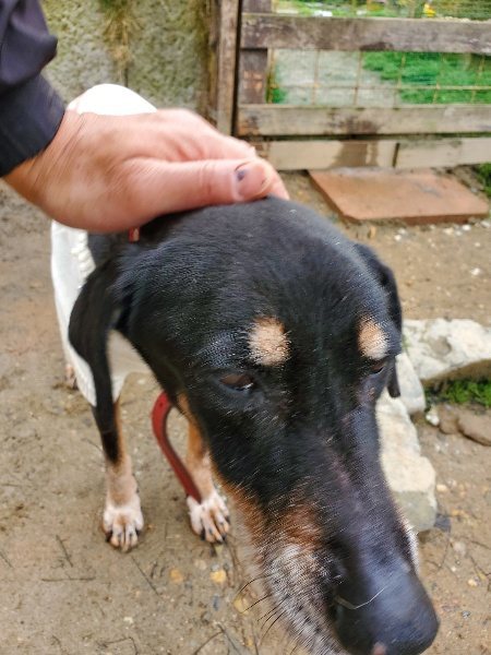 f:id:roukenhome-ann:20200219110050j:plain