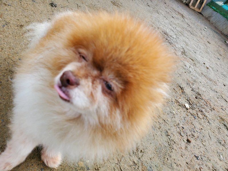 f:id:roukenhome-ann:20200219112652j:plain