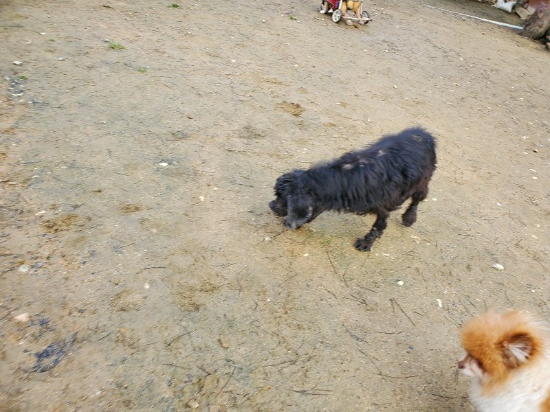 f:id:roukenhome-ann:20200219112736j:plain