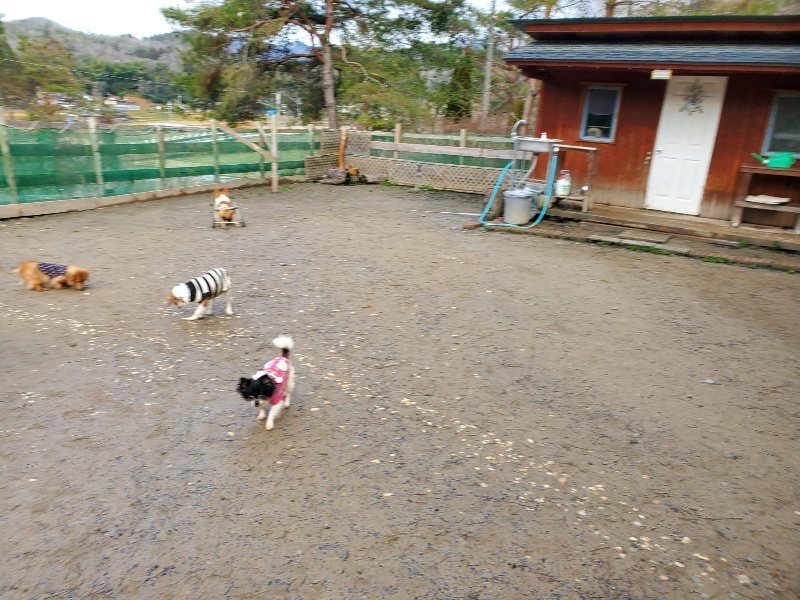 f:id:roukenhome-ann:20200219120821j:plain