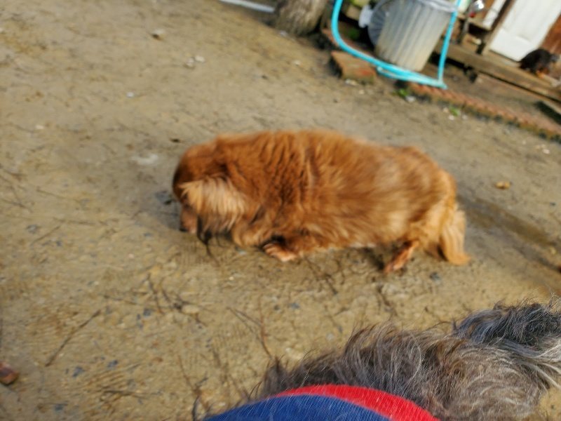 f:id:roukenhome-ann:20200219121110j:plain
