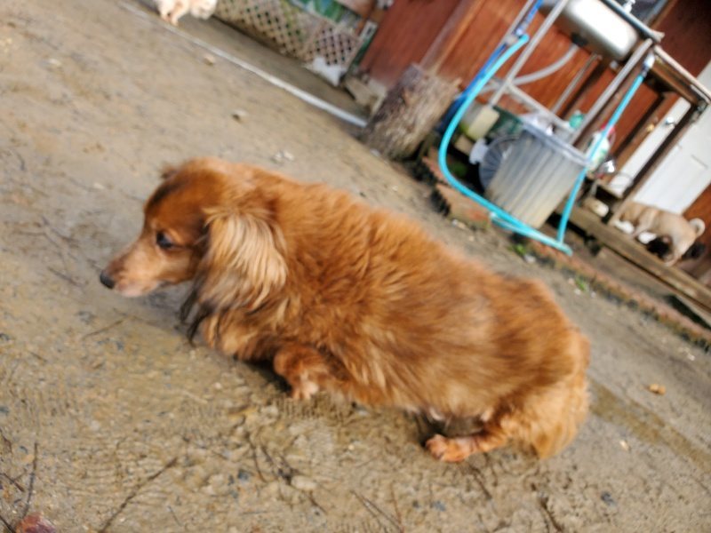 f:id:roukenhome-ann:20200219121124j:plain