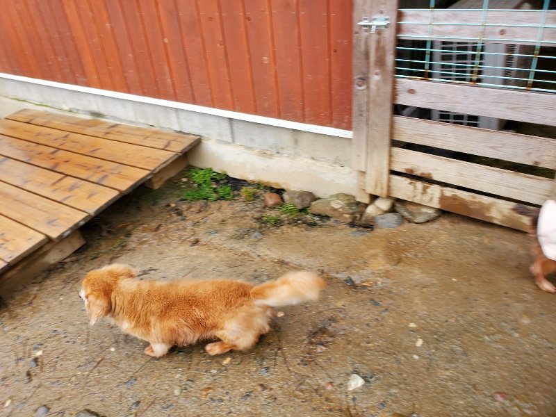 f：id：roukenhome-ann：20200224053748j：plain