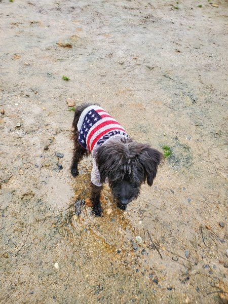 f：id：roukenhome-ann：20200224054009j：plain