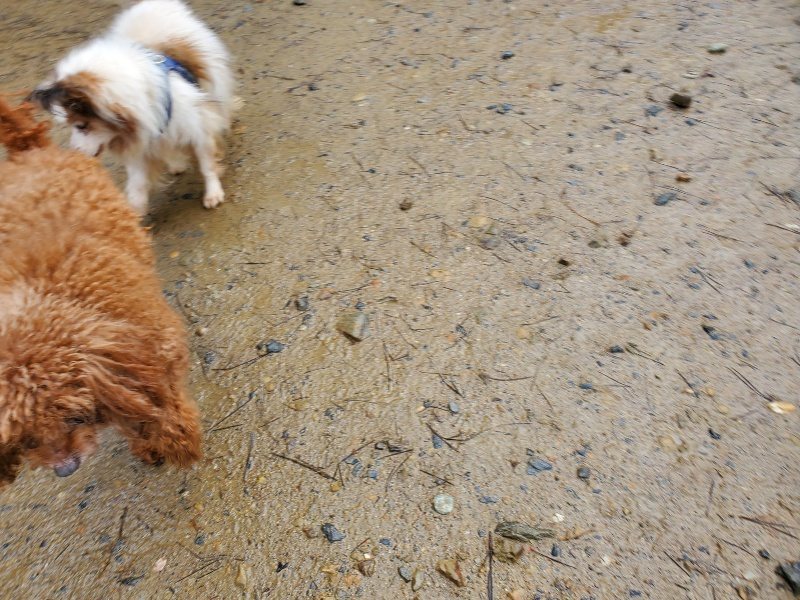 f：id：roukenhome-ann：20200224054101j：plain