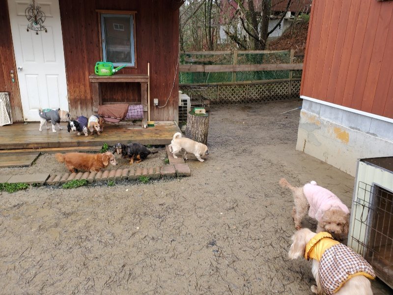 f：id：roukenhome-ann：20200224054623j：plain