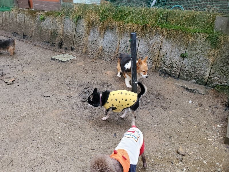 f：id：roukenhome-ann：20200224054908j：plain