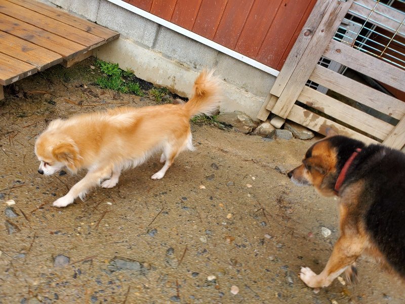 f：id：roukenhome-ann：20200224055942j：plain