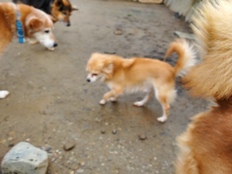 f:id:roukenhome-ann:20200228135256j:plain